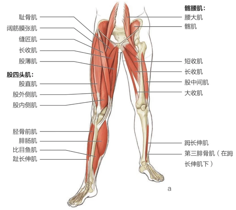 如何通过心理辅导提升篮球轮换训练的效果_0